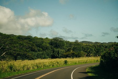 Autoroute à travers une forêt tropicale luxuriante à Kauai, Hawaï. Photo de haute qualité