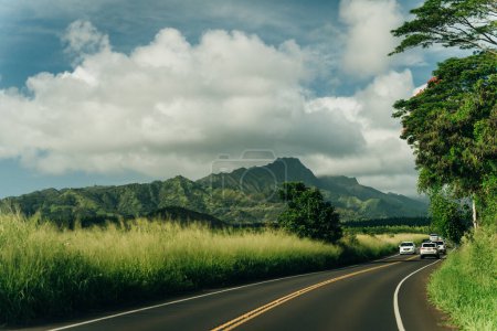 Highway through a lush tropical forest in kauai, hawaii. High quality photo
