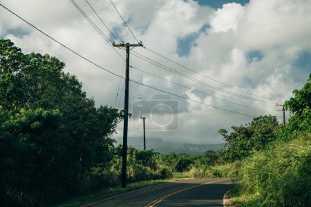 Autoroute à travers une forêt tropicale luxuriante à Kauai, Hawaï. Photo de haute qualité