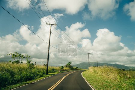 Autobahn durch einen üppigen tropischen Wald in kauai, Hawaii. Hochwertiges Foto