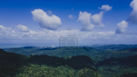 Téléchargez les photos : Vue aérienne de la tour Yokahu dans la forêt d'El Yunque Porto Rico. Photo de haute qualité - en image libre de droit