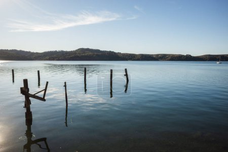 Téléchargez les photos : Maison californienne construite sur pilotis dans l'eau. Localisation : Lagune de Bolinas près de San Francisco. Photo de haute qualité - en image libre de droit