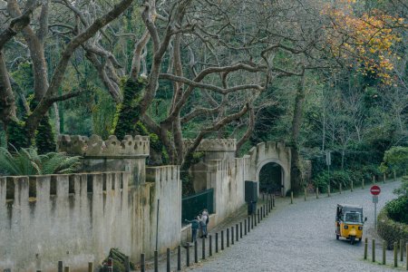 Foto de Parque cerca del Palacio Nacional de Pena, Sintra, Lisboa, Portugal - dic, 2021. Foto de alta calidad - Imagen libre de derechos