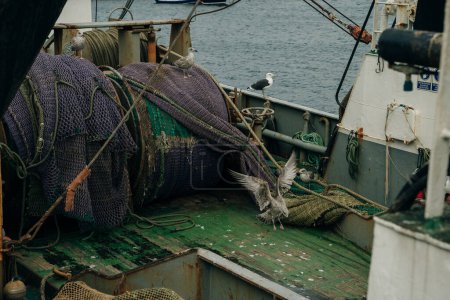 Téléchargez les photos : Équipement pour filets de pêche sur un bateau. Photo de haute qualité - en image libre de droit