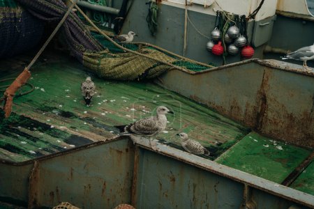 Téléchargez les photos : Équipement pour filets de pêche sur un bateau. Photo de haute qualité - en image libre de droit