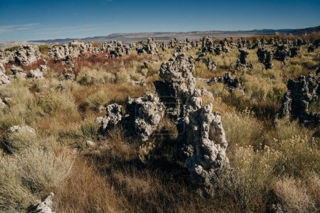 Tufa columns reflected in the mirrored water surface at Mono Lake, California. High quality photo