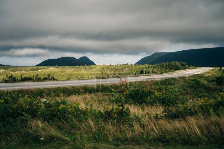 Scenic hilly landscape Newfoundland highway, canada. High quality photo