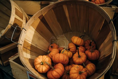 Decorative yellow pumpkins on display at the farmers market. High quality photo