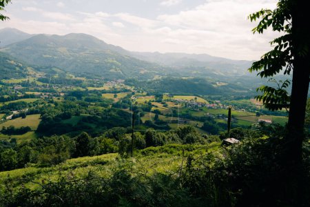 paysages verts à elizondo, navarra, espagne. Photo de haute qualité