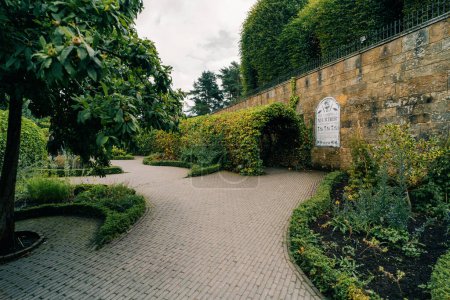 Überdachter Gehweg, Alnwick Gardens, Northumberland - Vereinigtes Königreich. Hochwertiges Foto