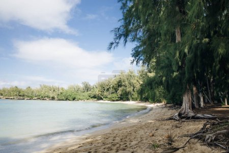 Foto de Malaekahana, Beach Park, Kahuku, Windward, Oahu, Hawaii - 2 de mayo de 2023. Foto de alta calidad - Imagen libre de derechos