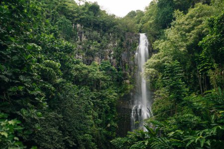 Wailua tombe sur Maui, en cascade à 80 pieds dans la jungle. Photo de haute qualité