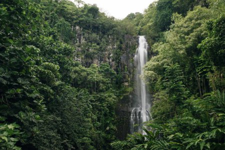 Wailua tombe sur Maui, en cascade à 80 pieds dans la jungle. Photo de haute qualité