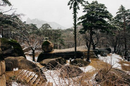Photo for The view of Seoraksan National Park, South Korea at winter. . High quality photo - Royalty Free Image