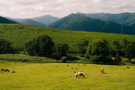 Paisaje rural francés en los Pirineos en el País Vasco, Francia. Foto de alta calidad