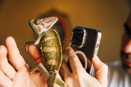 Chameleon close up. Multicolor Beautiful Chameleon closeup reptile with colorful bright skin on the hand. High quality photo