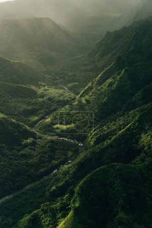 Aerial View of Waimea Canyon State Park, Kauai County, Hawaii, United States. High quality photo