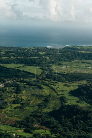 Aerial View of Waimea Canyon State Park, Kauai County, Hawaii, United States. High quality photo