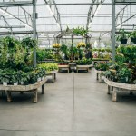 plant store in boston, usa - sep 2th 2023. High quality photo