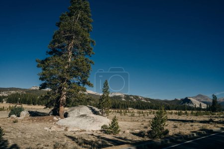 Scenic view on the Yosemite National Park from Olmsted Point, USA - sep 2022. High quality photo
