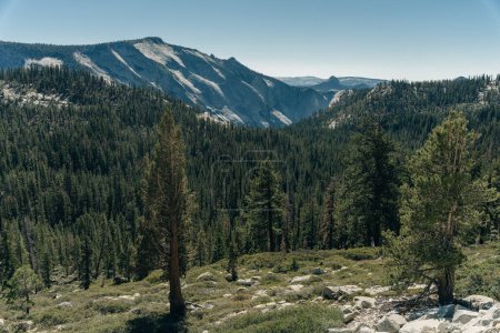 Vue panoramique sur le parc national Yosemite depuis Olmsted Point, États-Unis - septembre 2022. Photo de haute qualité