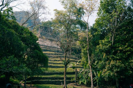 Mayan ruins in Palenque, Chiapas, Mexico. High quality photo