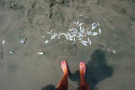 kleine Fische vor einem Mann im Sand. Hochwertiges Foto