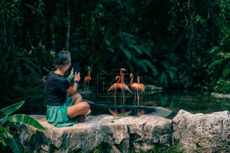 tourist are looking for Group of pink flamingos in the jungle. mexico - may 2023. High quality photo