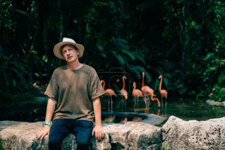 tourist are looking for Group of pink flamingos in the jungle. mexico - may 2023. High quality photo