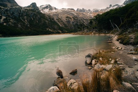 Téléchargez les photos : Vue sur la Laguna Esmeralda. Emerald Lake - Ushuaia, Argentine. Photo de haute qualité - en image libre de droit