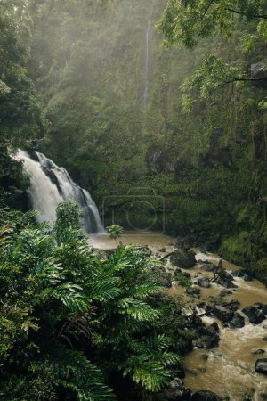 Wasserfall auf dem Weg nach Hana, Maui, Hawai 'i. Hochwertiges Foto