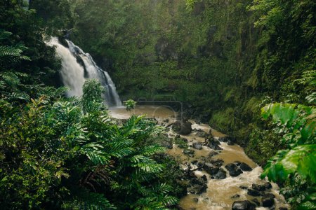 Waterfall on the road to Hana, Maui, Hawai'i. High quality photo