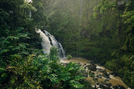 Waterfall on the road to Hana, Maui, Hawai'i. High quality photo