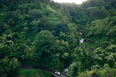 Cascade sur la route de Hana, Maui, Hawai'i. Photo de haute qualité