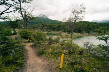 lago en Bahía Lapataia en medio de montañas en Tierra del Fuego. Foto de alta calidad
