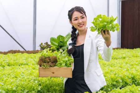Foto de Granja hidropónica. La mujer en la cosecha toma verduras frescas de la granja orgánica hidropónica. Asiático agricultor joven mujer celebrar cesta de verduras en granja. - Imagen libre de derechos
