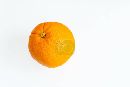 Foto de Naranja sobre fondo blanco - Imagen libre de derechos
