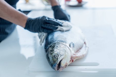 Téléchargez les photos : Le gros saumon est entre les mains du chef cuisinier. Homme lavage et nettoyage des mains Saumon poisson. - en image libre de droit