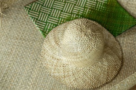 Téléchargez les photos : Toei Panan, feuilles utilisées pour tisser des ustensiles tels que des sacs, chapeau, paniers de la province de Trang sud de la Thaïlande. - en image libre de droit
