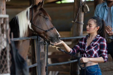 Hermosa joven alimentando a su caballo. Joven adulto mujer asiática moda en entorno natural.