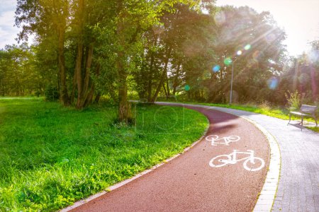 Téléchargez les photos : Piste cyclable dans le parc de printemps - en image libre de droit