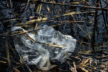 Photo for Water pollution with plastic. Old plastic bag in the river - Royalty Free Image