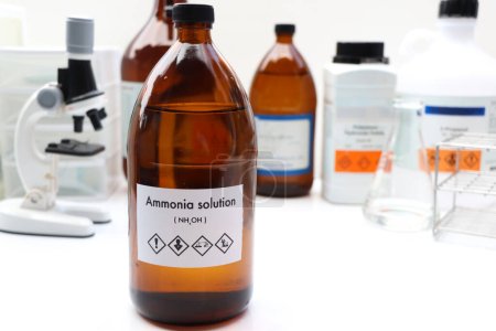 Foto de Ammonia Solution in bottle , chemical in the laboratory and industry, Chemical used in the analysis - Imagen libre de derechos