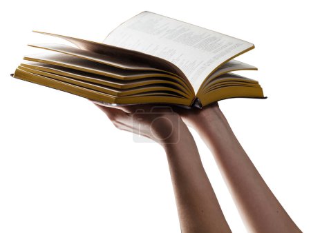 Téléchargez les photos : La Bible dans les mains de la femme isolé sur fond blanc - en image libre de droit