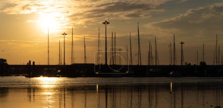 Photo for Masts of sailing boats and yachts in silhouette at sunset in Povoa de Varzim harbour, Portugal. - Royalty Free Image
