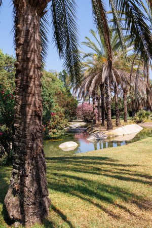 Photo for Small Artificial Pond in Turia Park with Palm Trees and Flowers. - Royalty Free Image