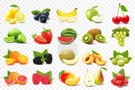 Realistisches Set verschiedener Obstsorten mit Orangen, Kiwi, Birnen, Zitronen, Trauben, Erdbeeren, Johannisbeeren, Pfirsichen, Limetten, Grapefruits, Äpfeln, isoliert auf transparentem Hintergrund, 3D-Vektorillustration