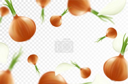Photo for Onion background. Falling fresh ripe onions, isolated on transparent background. Selective focus. Flying defocusing onions. Applicable for ketchup, juice advertising. Realistic 3d vector - Royalty Free Image