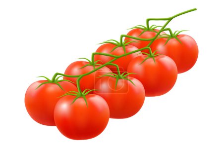 Foto de Rama de tomates rojos cereza. Ilustración realista del vector 3d de la planta de verduras. Verduras frescas para ensalada y cocción. Se puede utilizar como diseño de embalaje, banner o anuncio de alimentos - Imagen libre de derechos
