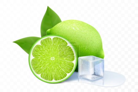 Photo for Fresh lime with an ice cube. Composition of elements lime with leaves, half lime, sliced lime, puddle water. 3D realistic vector illustration isolated on transparent background - Royalty Free Image